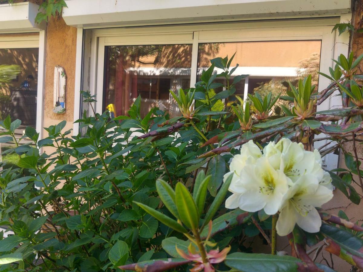 Le Relais De Montchat Lione Esterno foto